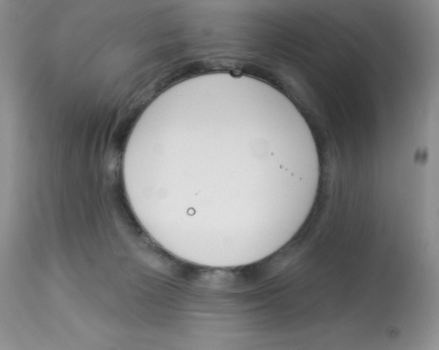 X0000112860125200909181810