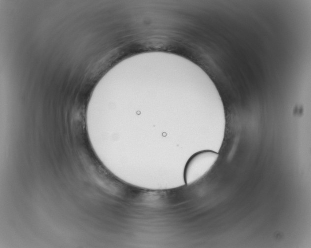 X0000112860126200909181810