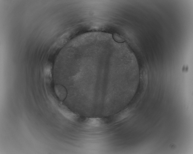 X0000112860127200909181810