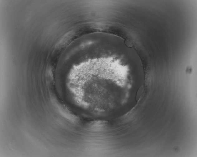 X0000112860128200909181810