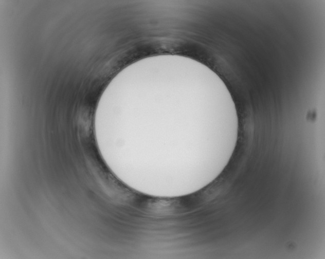 X0000112860129200909181810