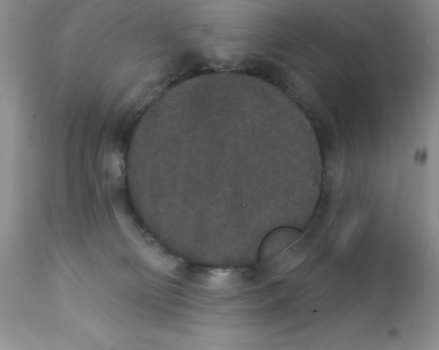 X0000112860130200909181810