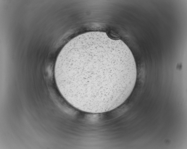 X0000112860131200909181810