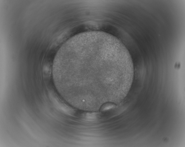 X0000112860134200909181810