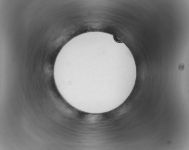 X0000112860135200909181810