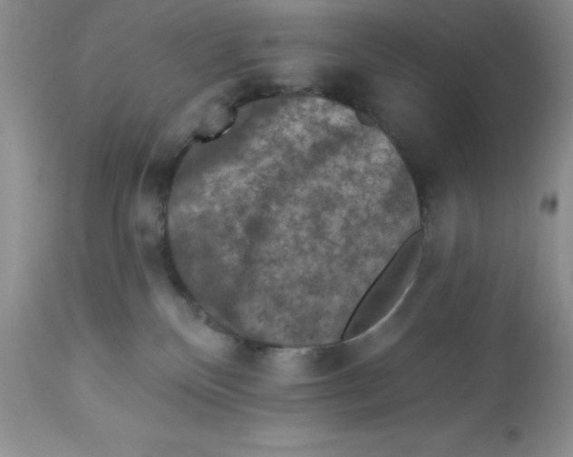 X0000112860136200909181810