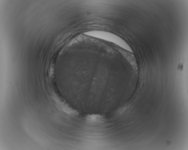 X0000112860137200909181810
