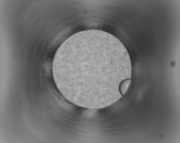 X0000112860138200909181810