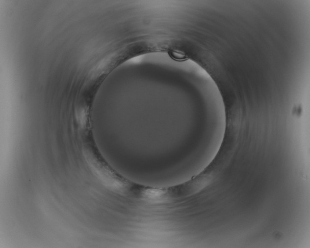 X0000112860139200909181810