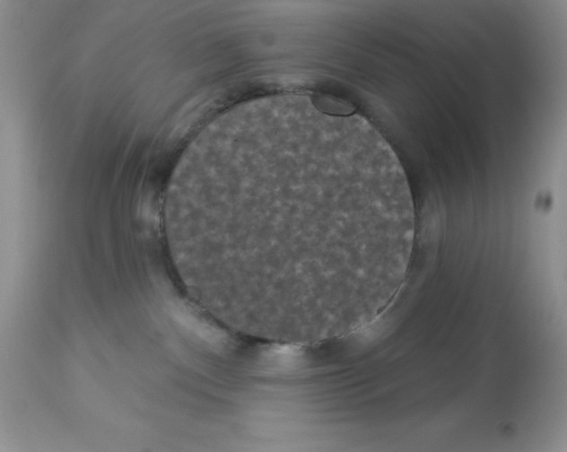 X0000112860140200909181810
