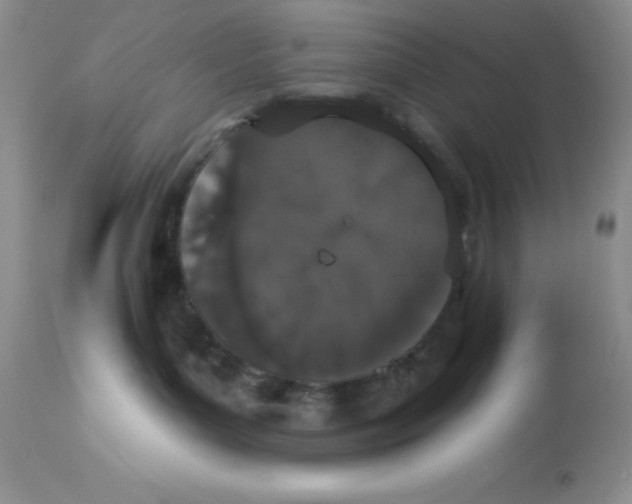 X0000112860143200909181810