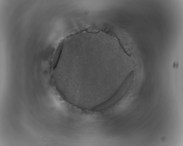 X0000112860144200909181810