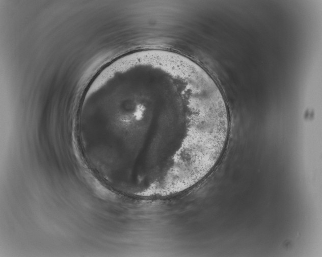 X0000112860145200909181809