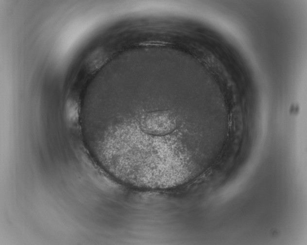 X0000112860146200909181809