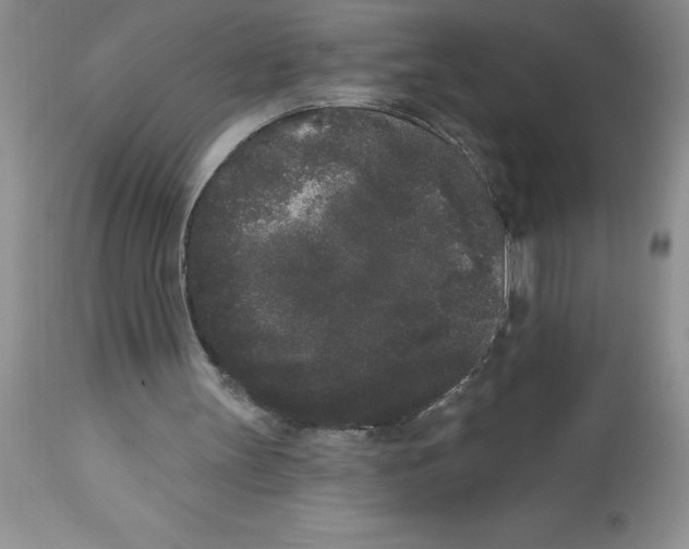 X0000112860147200909181809