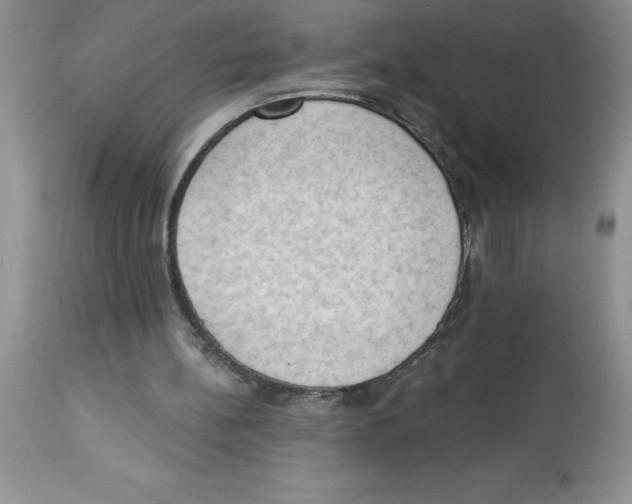 X0000112860148200909181809