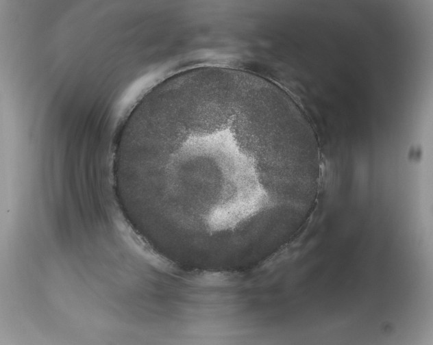 X0000112860149200909181809