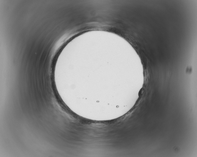 X0000112860150200909181809
