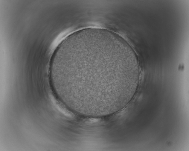 X0000112860151200909181809