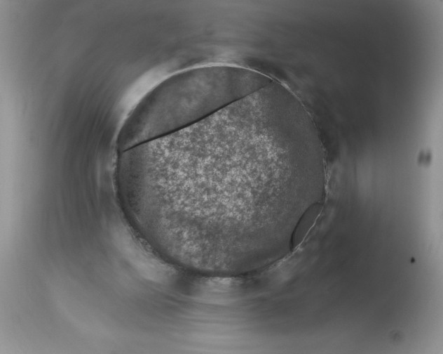 X0000112860152200909181809