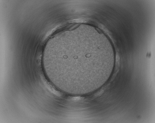 X0000112860153200909181809