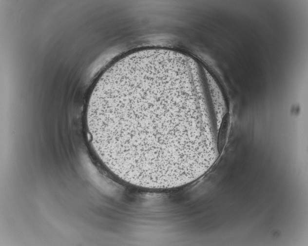 X0000112860154200909181809
