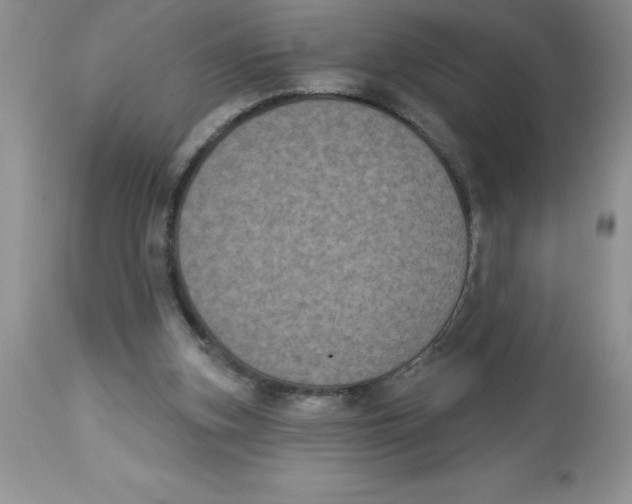 X0000112860155200909181809
