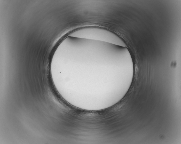 X0000112860156200909181809