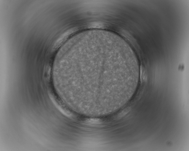 X0000112860157200909181809