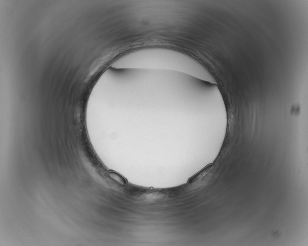 X0000112860158200909181809