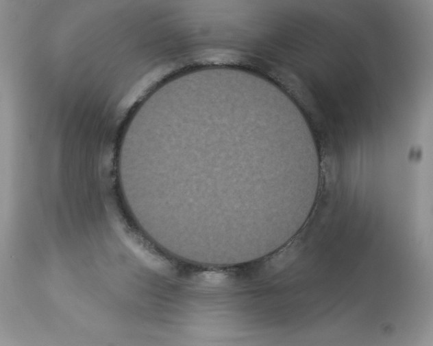 X0000112860159200909181809