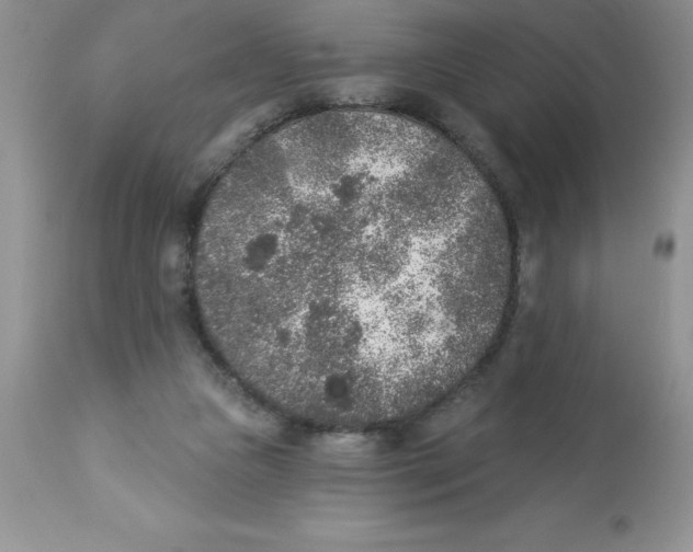 X0000112860161200909181809