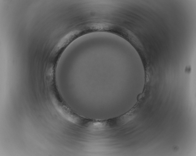 X0000112860163200909181809