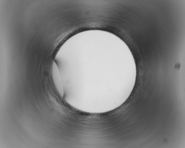 X0000112860164200909181809