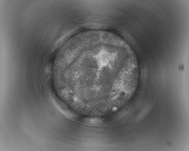 X0000112860165200909181809