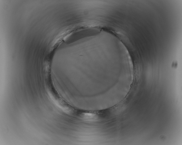 X0000112860167200909181809