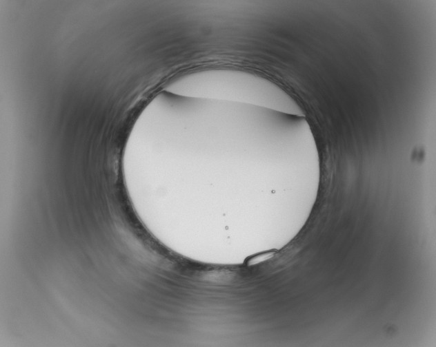X0000112860168200909181809