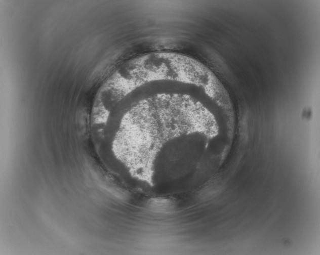 X0000112860169200909181809
