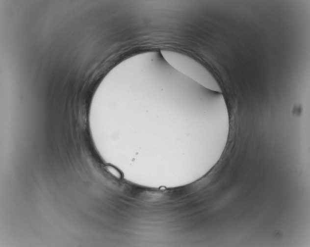 X0000112860170200909181809