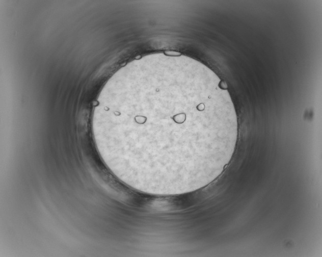 X0000112860171200909181809