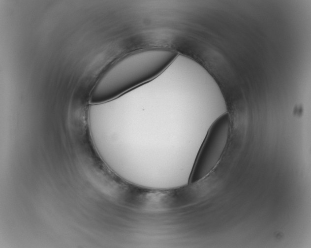 X0000112860172200909181809