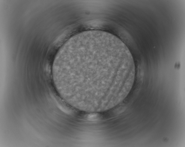 X0000112860173200909181809