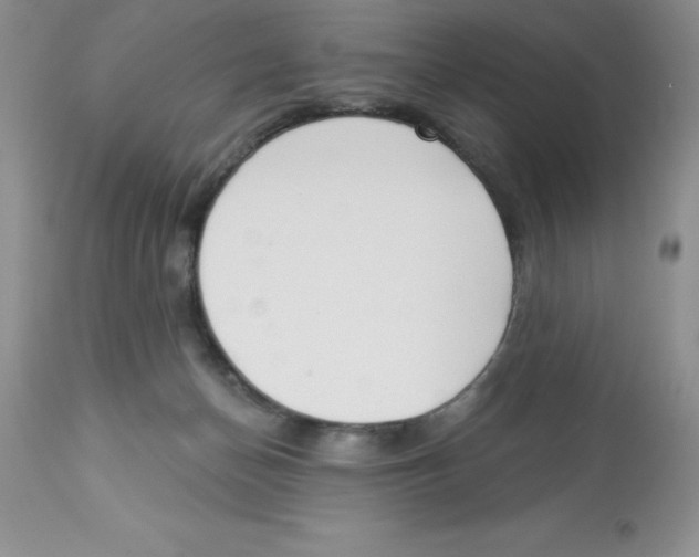 X0000112860174200909181809