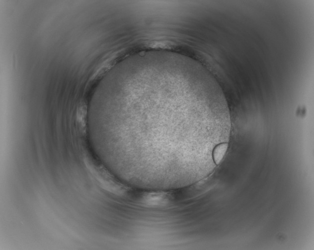 X0000112860175200909181809