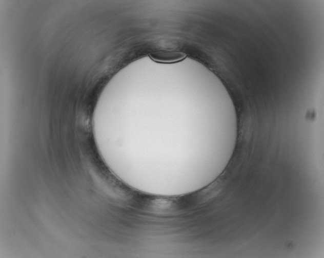 X0000112860176200909181809