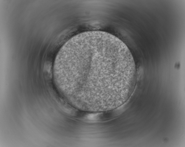 X0000112860178200909181809