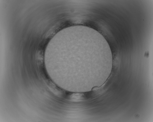 X0000112860179200909181809