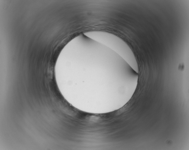 X0000112860180200909181810