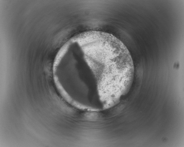 X0000112860181200909181810