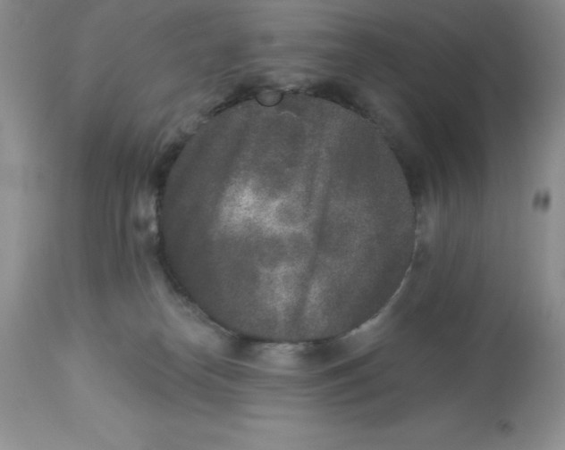 X0000112860182200909181810